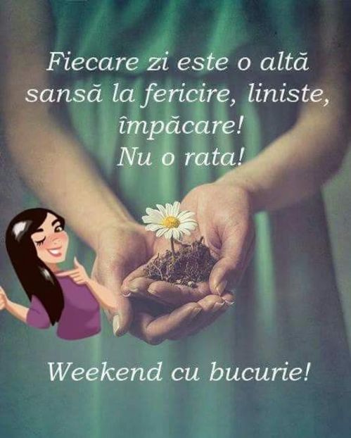  - Poze 4