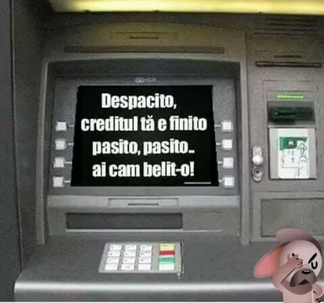  - Poze 4