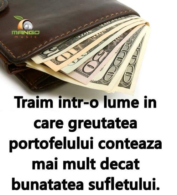  - Poze 4