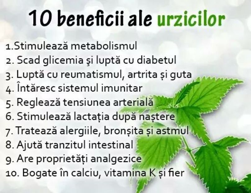  - Poze 4
