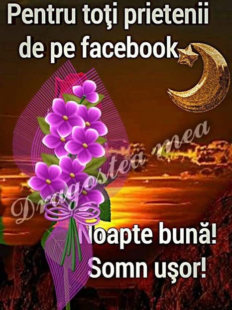  - Poze 4
