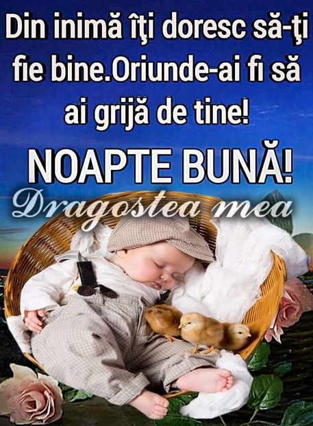  - Poze 4