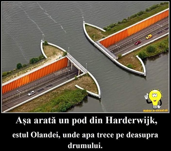  - Poze 4