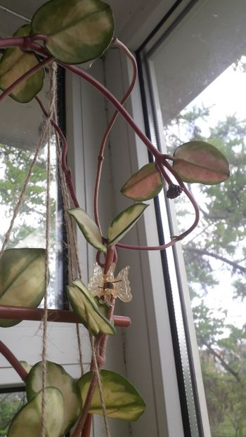 IMG-20180505-WA0021[1] - 2018