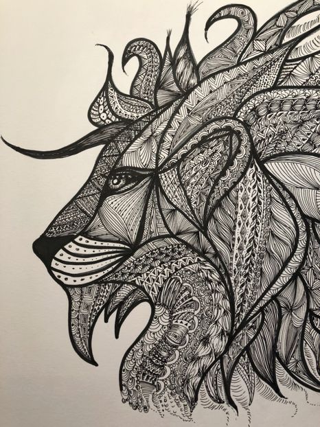 Detaliu A3 - LEU Popeasca - 0 DOODLE