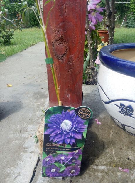 2018-9 mai - 19 The President