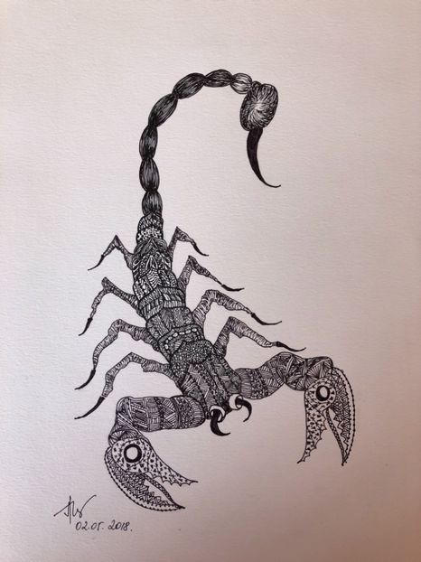 A4 Scorpion Lucian M - 0 DOODLE