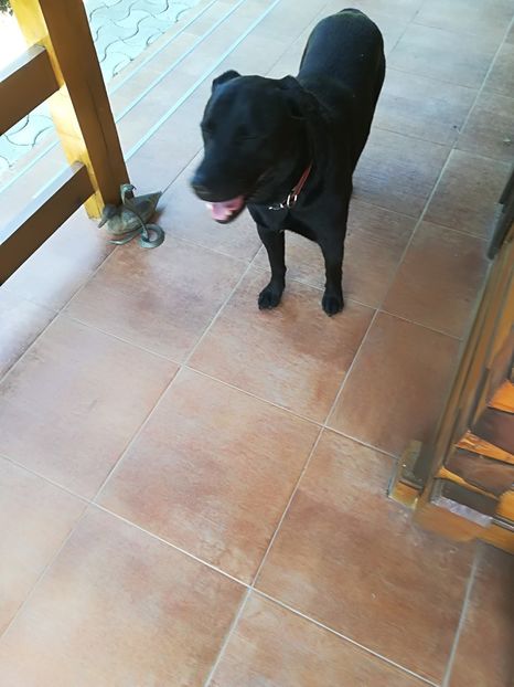  - Bucuriile primaverii 2018