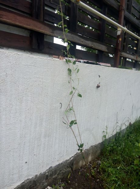 2018-10 mai - 19 The President