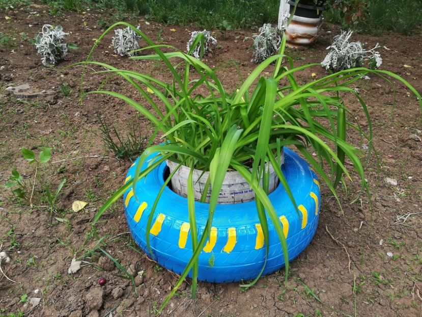  - Decor ptr gradină facute de mine