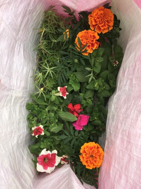  - Achizitii FLORI 2018