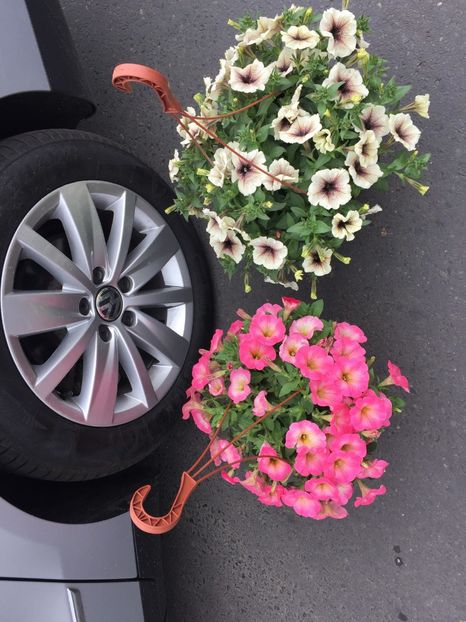  - Achizitii FLORI 2018