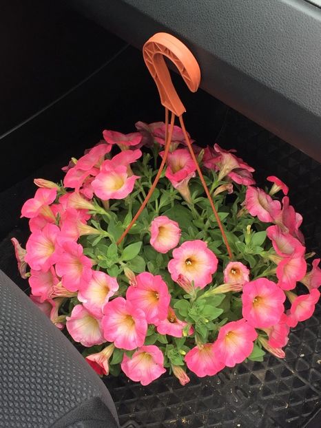  - Achizitii FLORI 2018