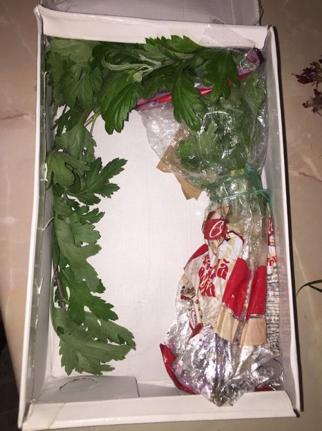  - Achizitii FLORI 2018