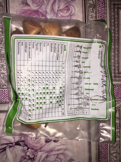  - Achizitii FLORI 2018