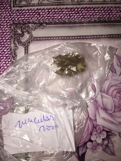  - Achizitii FLORI 2018