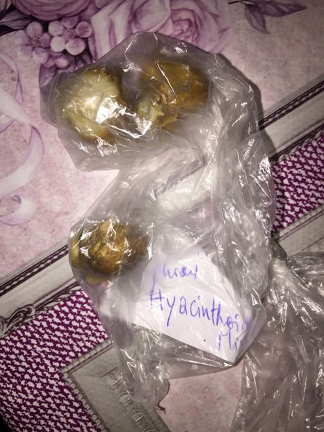  - Achizitii FLORI 2018