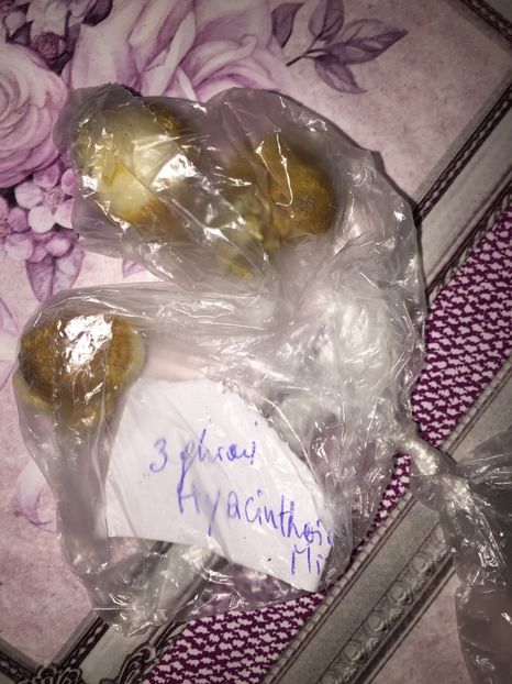  - Achizitii FLORI 2018