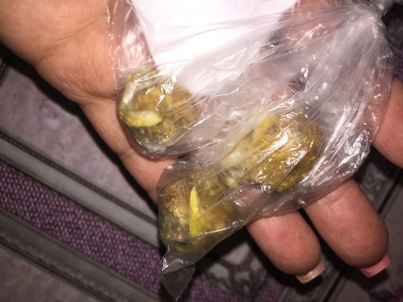  - Achizitii FLORI 2018