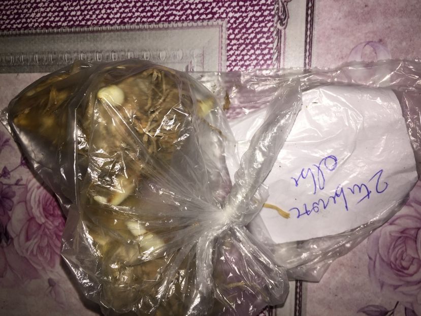  - Achizitii FLORI 2018