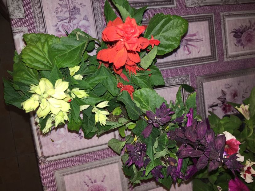  - Achizitii FLORI 2018