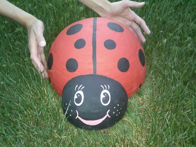 BEDC4555 - Urmeaza sa -mi fac si eu ptr gradina