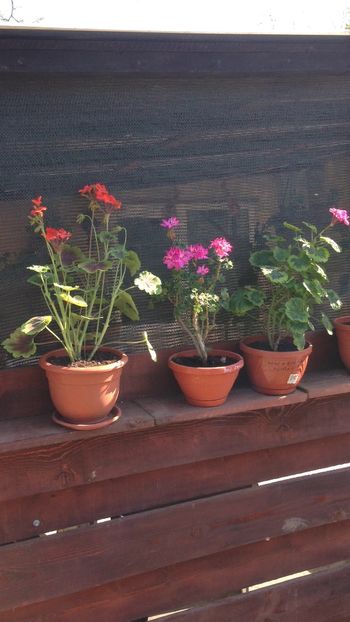 C5D49F80-EB0D-45C2-9026-C384472D463E - 2018