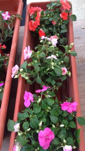 D3116D0D-69A8-4B70-9409-5FE0ACC303EA - 2018