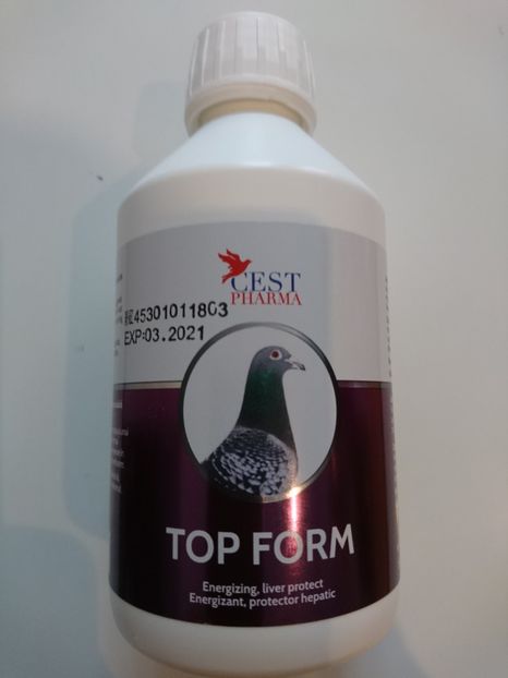 TOP FORM 250 ML 50 RON - TOP FORM 250 ML - 50 RON