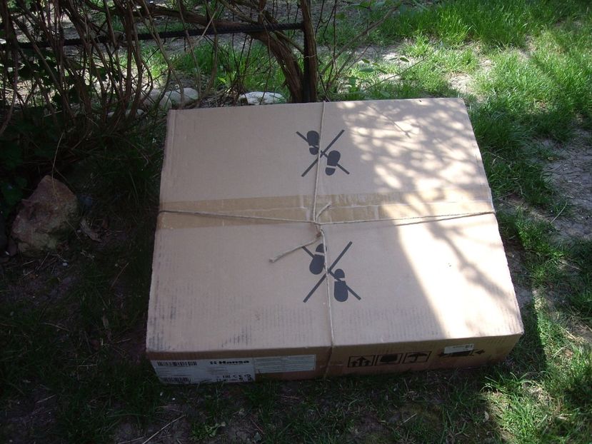 IMGP1494 - Achizitii Helen15 2018