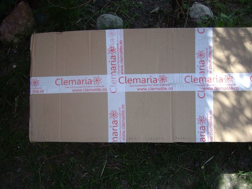 IMGP1484 - Achizitii-Maria Clematite - 2018