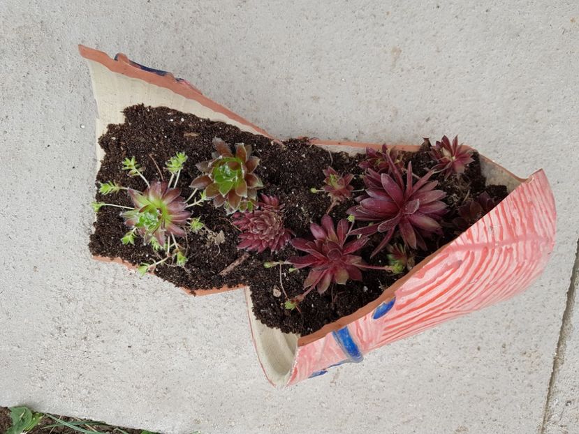 Totul se transforma - Timpul meu liber