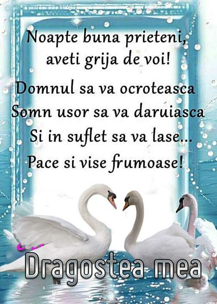  - Poze 4