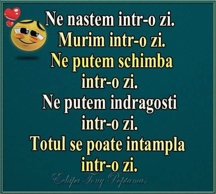  - Poze 4