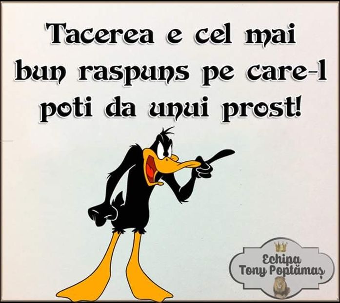  - Poze 4