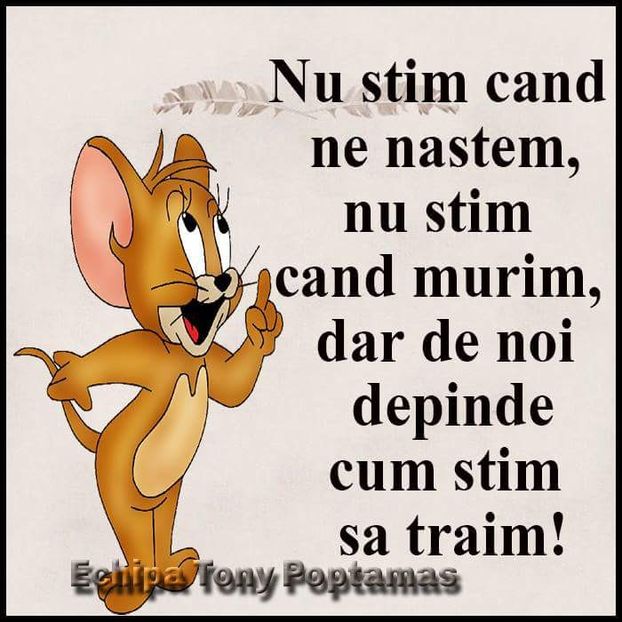  - Poze 4