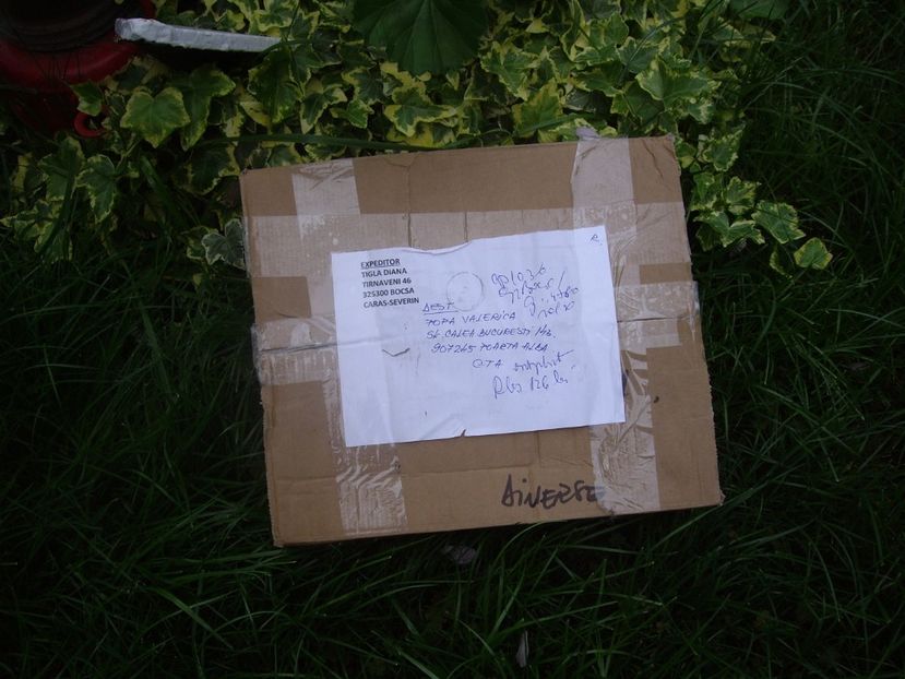 IMGP1590 - Achizitii Dianadia 2018