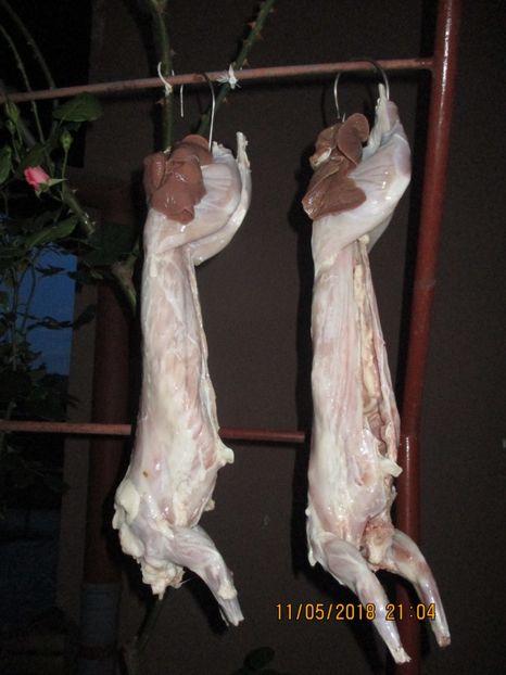 Californian 1 an ! - SACRIFICARI