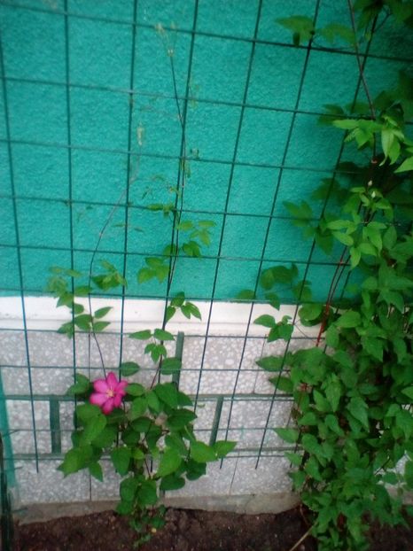 12 05 2018 - Ville de Lyon