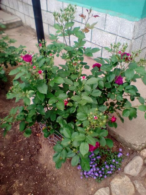 12 05 2018 - Ebb Tide