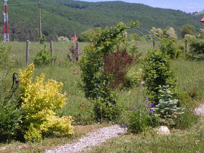 12 mai (146) - Dobarland 2018 2