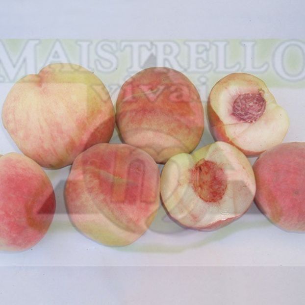 Anna Bianca ( poza net ) - piersic ANNA BIANCA