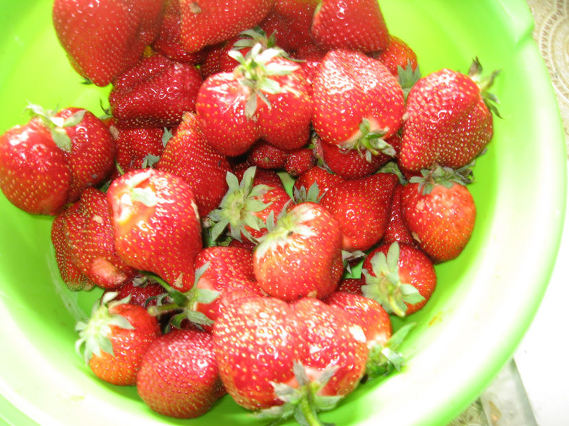  - Capsuni mai -iunie 2018