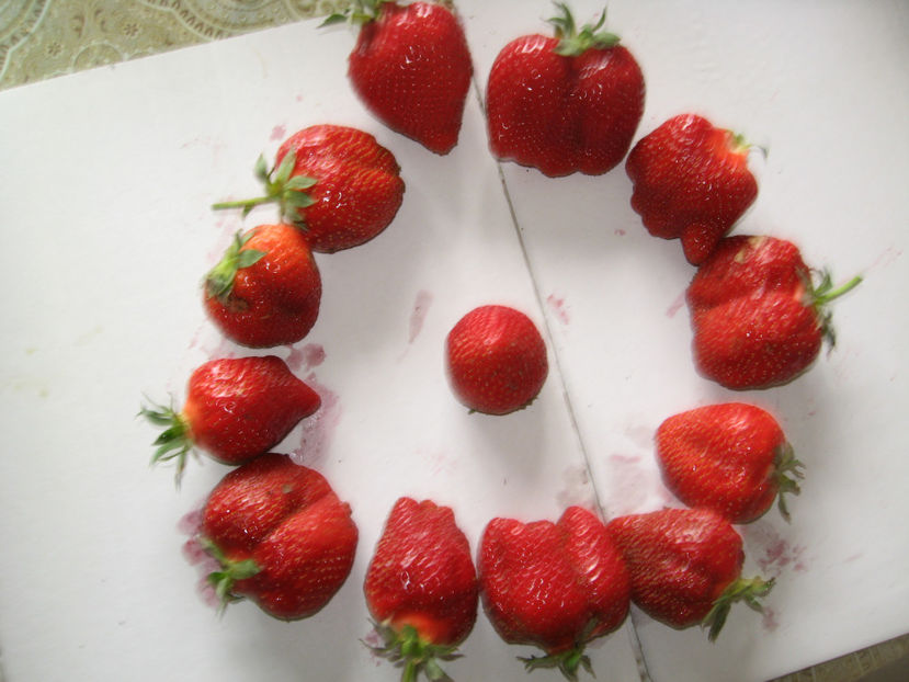  - Capsuni mai -iunie 2018