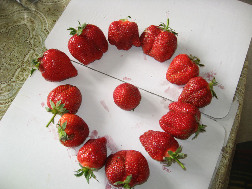  - Capsuni mai -iunie 2018