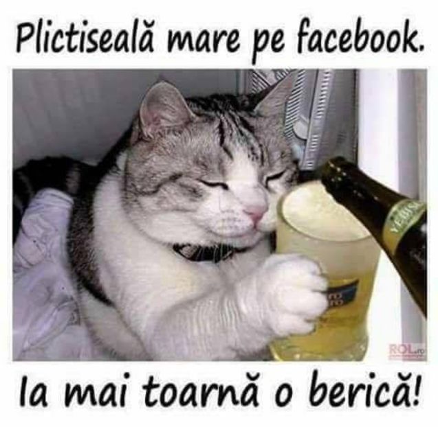 Eurovision 2018 - 2018 Eurovision Song Contest Part 4