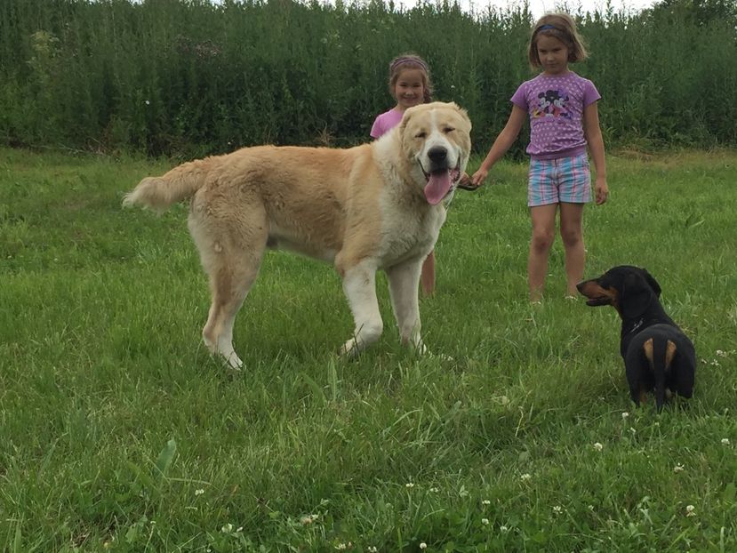 0AE829C6-5512-48EC-8F76-C1C6F97D7901 - Vulkan