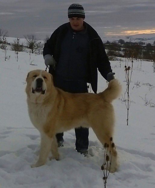 7D2682DD-C6FE-4378-B5D6-6F5DC476CFC3 - Vulkan