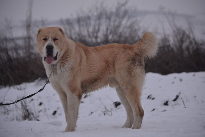 82627FBA-5EAC-4665-84A9-18C41309D244 - Vulkan