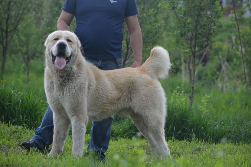 A0814396-CF94-4697-A862-587DF5A93182 - Vulkan